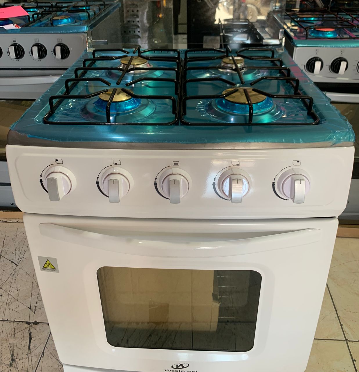 Oven Westcoast 24"/8059