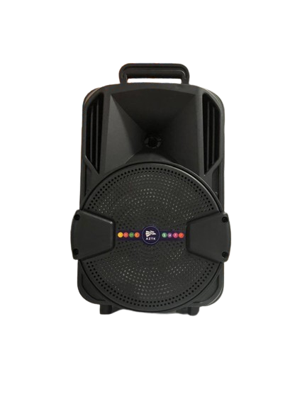 Speaker 8 Inches 10W/8236
